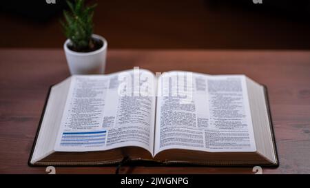 Open Bible on table with succulent Stock Photo