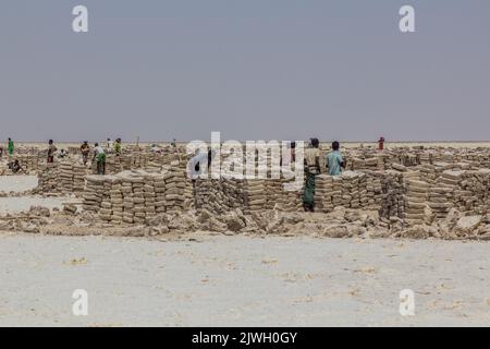 DANAKIL, ETHIOPIA - MARCH 24, 2019: Afar tribe salt miners in the Danakil depression, Ethiopia. Stock Photo
