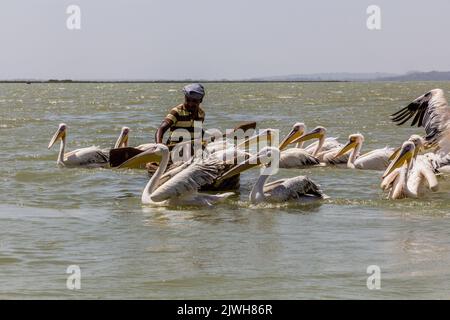 TANA, ETHIOPIA - APRIL 1, 2019: Local fisherman on a small boat and Great white pelicans (Pelecanus onocrotalus) at Tana lake, Ethiopia Stock Photo