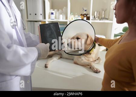Cropped image of veterinarian showing tablet computer with x-ray image of dogs spine to owner Stock Photo