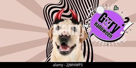 Advertising banner for Halloween party with funny Labrador Retriever Stock Photo