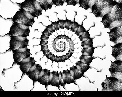 Black and white rotating hypnosis spiral (seamless loop Stock Photo - Alamy