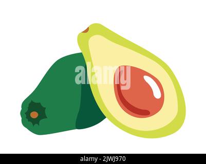 Avocado fruit on white isolated background. Icon Vector flat  illustration. Cartoon  Concept of healthy food, vegetable  for magazine, farmers market, Stock Vector