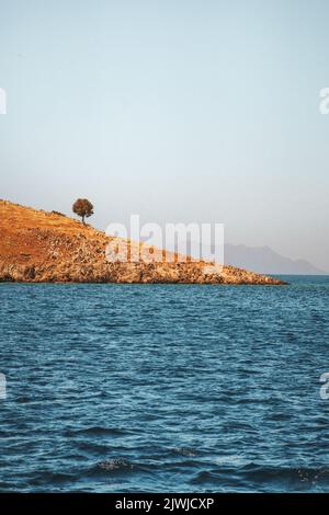 Lonely tree on island in Aegean sea landscape nature destinations beautiful travel scenery minimal style Stock Photo