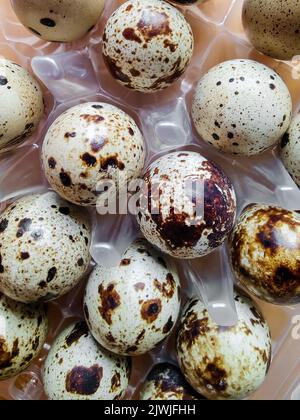 Quail eggs in their plastic packaging. Close-up. View from above. Selective focus. Stock Photo