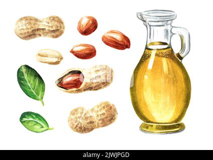 Peanut oil set. Hand drawn watercolor illustration, isolated on white background Stock Photo