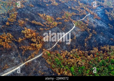 Aerial view of a burned forest and a landscape after the biggest forest fire in the history of slovenia, Europe Stock Photo