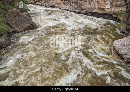 Shell Creek rapids, Shell Canyon, Bighorn Mountains, Bighorn National Forest, Wyoming, USA Stock Photo