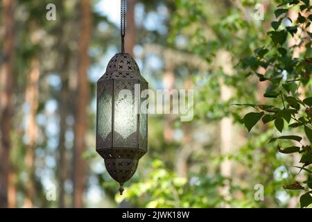 Hanging lamp on a track in front of a forest of metal and glass. Illuminated. Oriental processing. Object photo Stock Photo