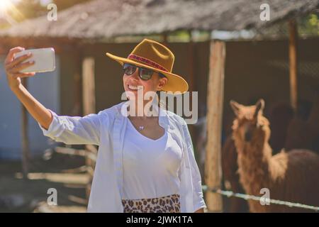 Young tourist takes selfies of alpacas and llamas on the farm. Farming industry in Peru. Feeding alpacas. Farm life concept. Stock Photo