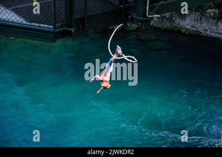 A bungy jumper connected with an elastic cord, plunges 47 metres below into the Waikato river (New Zealand’s longest) from the new Taupo Cliff Hanger Stock Photo