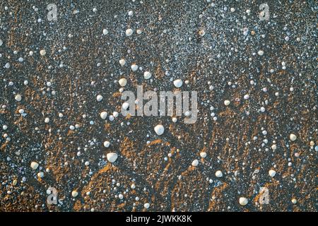 Sand and cockle shells at sunset on Southerness Beach, Dumfries and Galloway, Scotland Stock Photo