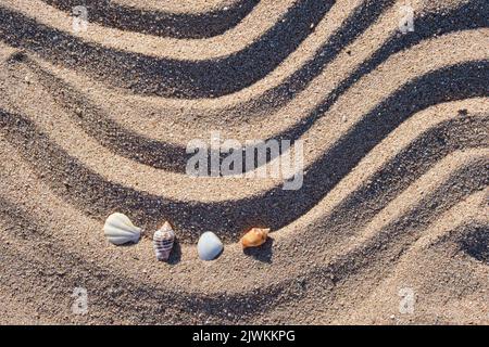Travel and vacation season, summer holiday background. Top view of sea shells on beach sand. Stock Photo