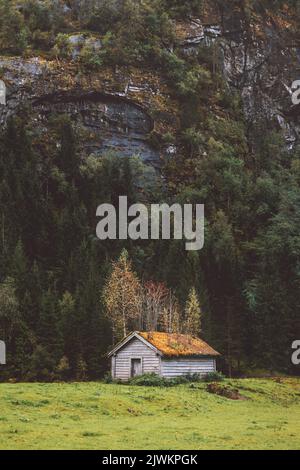 Old wooden house with trees on roof  in Norway mountain and forest landscape scandinavian nature beautiful destination Stock Photo