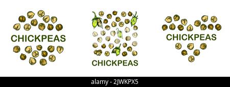 Set of colorful chickpeas designs. Hand drawn illustration in colored sketch style. Botany design for packaging, label, banner, logo Stock Vector