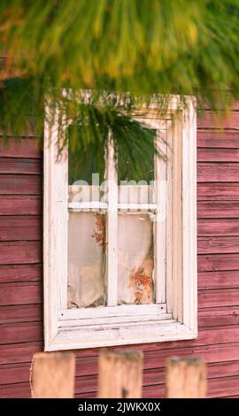 Window, painted roughly, offhandedly white of old wooden village house made of boards painted in burgundy or cherry color. In foreground an old fence Stock Photo