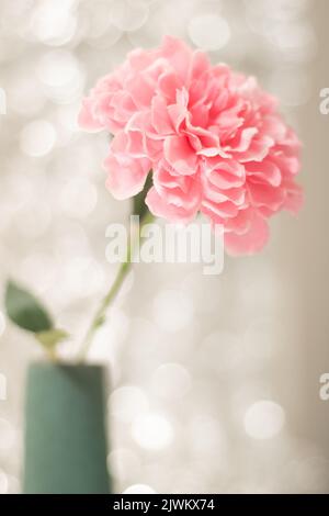 Artificial pink carnation against a silver foil background in a green vase. High-quality photo Stock Photo