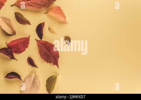 Tree leaves on a ground. Colorful fallen autumn leaves background Stock Photo
