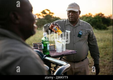 Evening Sundowner drinks, Timbavati Private Nature Reserve Reserve, Kruger National Park, South Africa Stock Photo