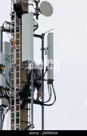 two Telekom technicians perform work on a transmission tower Stock Photo