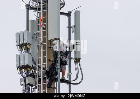 two Telekom technicians perform work on a transmission tower Stock Photo