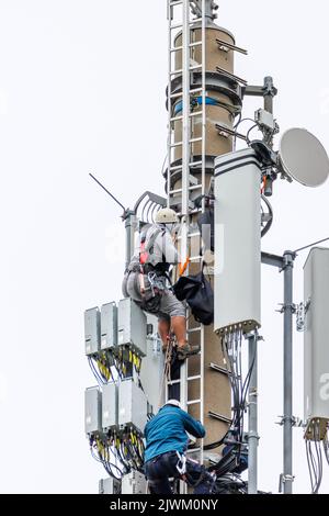 two Telekom technicians perform work on a transmission tower Stock Photo
