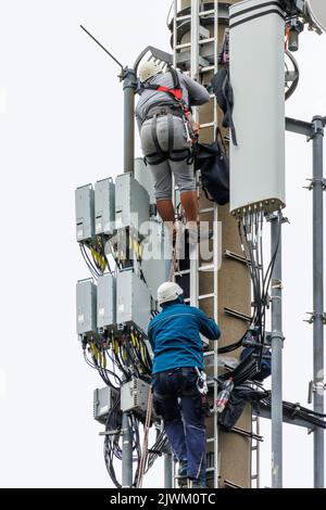 two Telekom technicians perform work on a transmission tower Stock Photo