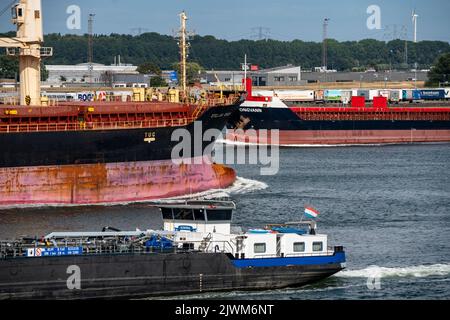 Shipping on the Maas, height Hoek van Holland, freighter Stella Enguri, Longvann, barge, Stock Photo