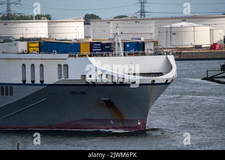 Shipping traffic on the Maas, height Hoek van Holland, Opaline Roro ferryboat in the Calandkanaal, at the Ausfahrt, Stock Photo