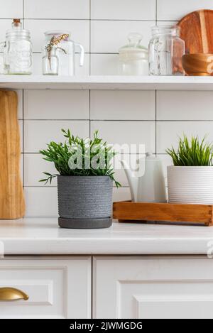artificial plants in a bright kitchen Stock Photo