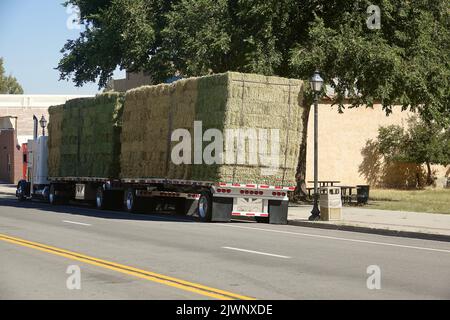 tractor trailer loaded with stacks of alfalfa and hay bales Stock Photo