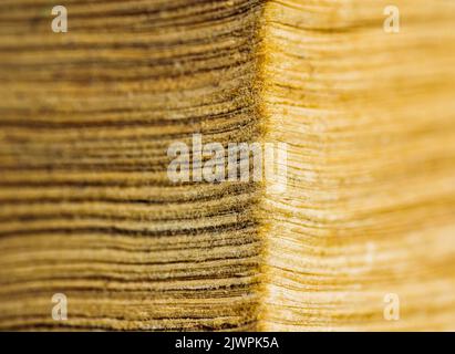 Corner of an old thick book in closeup. Stacked yellowed pages Stock Photo