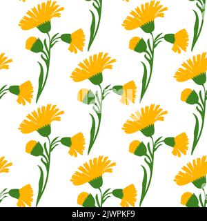 Botanical plant flowers dandelions seamless pattern vector illustration. Daisy branch with yellow flower on white background. Graphic design for greet Stock Vector