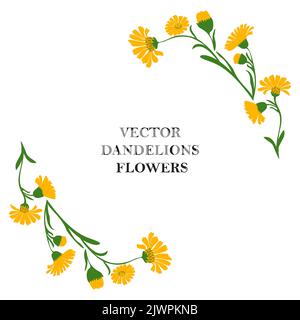 Floral border of plant dandelions isolated on white background. Botanical frame of branch yellow flowers and green leaves daisy vector illustration. G Stock Vector