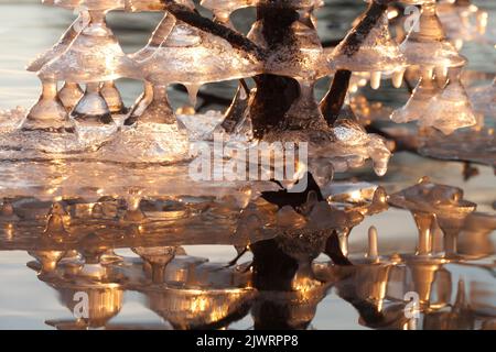 icicles at shore of the river Saale in Halle, Germany Stock Photo
