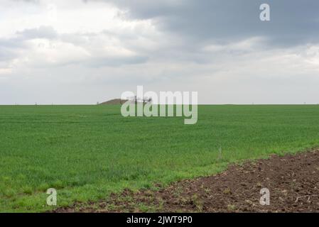 Ukrainian landscape of a half-green field of grass against a cloudy sky Stock Photo