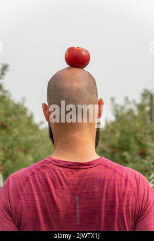 Rear view of a bald man with red apple on his head Stock Photo