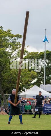 Tossing the Caber, Highland Games, North Berwick Stock Photo - Alamy