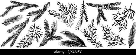 Hand drawn ink fir tree and pine branches set. Stock Vector