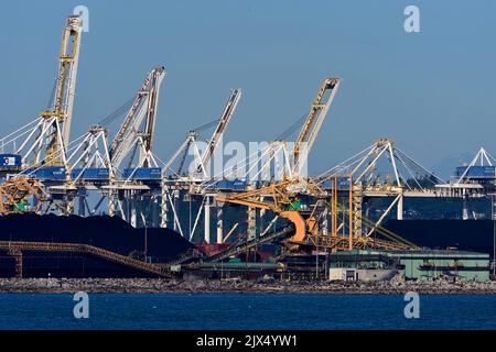 Piles of raw coal ready to be loaded on to a ocean going vessel for transport across the sea to Europe Stock Photo