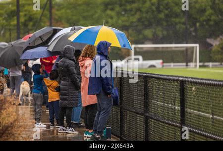 Back view of people with umbrellas standing under rain at the stadium waching football. Heavy rain, people under umbrellas. Travel photo, street view- Stock Photo