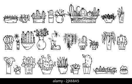 Set of cacti in pots and boxes. Prickly indoor flowers. Outline hand drawn sketch. Drawing with ink. Isolated on white background. Vector. Stock Vector