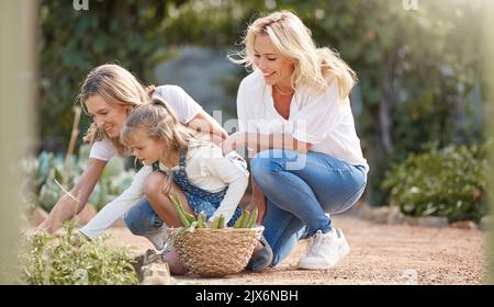 Garden, family and nature with mother and child relax in outdoors farm field in the summer together. Mom, girl and grandmother happy with Stock Photo