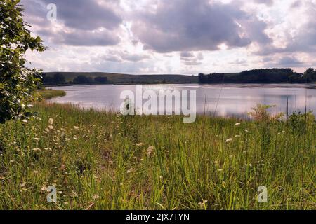 Bloomingdale, Illinois, USA. A small lake sits among a restored and preserved prairie grass setting. The hilly area in the background is a landfill. Stock Photo