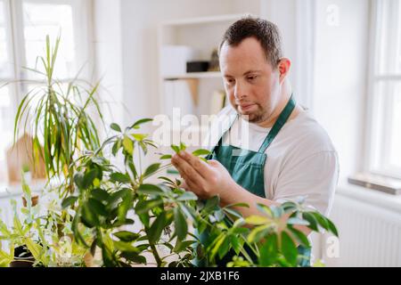 Young man with Down syndrome taking care of plants, working in fowershop. Stock Photo