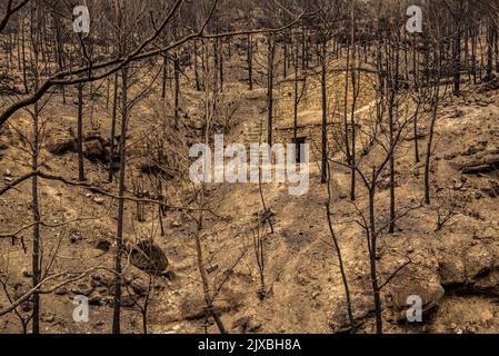 Tubs (Tines in catalan) and the Flequer valley after the 2022 Pont de Vilomara fire in the Sant Llorenç del Munt i l'Obac Natural Park Catalonia Spain Stock Photo