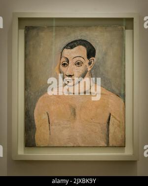 'Self-portrait' 1906 by Picasso, Picasso Museum, an art gallery located in the Hôtel Salé in rue de Thorigny, in the Marais district dedicated to the Stock Photo