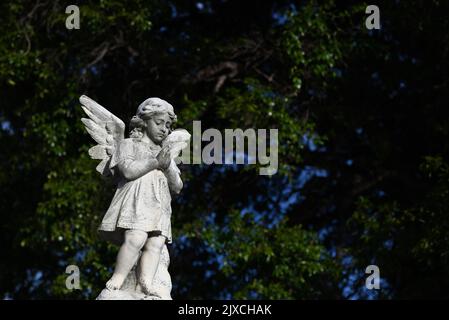 Sunlit stone sculpture of a child angel, or cherub, with its hands clasped in prayer, featuring the dark green leaves of a tree in the background Stock Photo