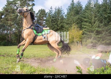 German Riding Pony Ranch Female teen riding horse in Mexico ranch Stock Photo - Alamy