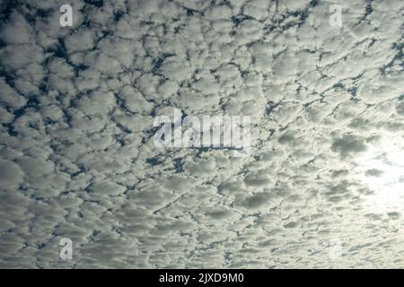 The troposphere is thicker in equatorial regions, and this gives mid-level clouds like these Altocumulus a greater range of extent. the side away from Stock Photo